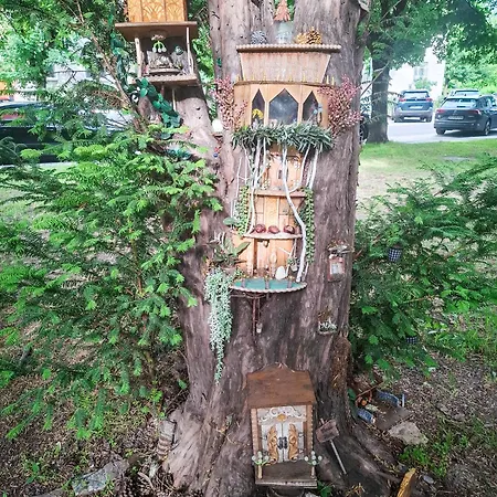 Majus 1 دوناويفاروش